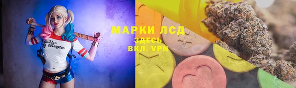 apvp Дмитров