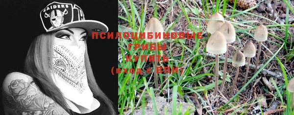 Альфа ПВП Дмитровск