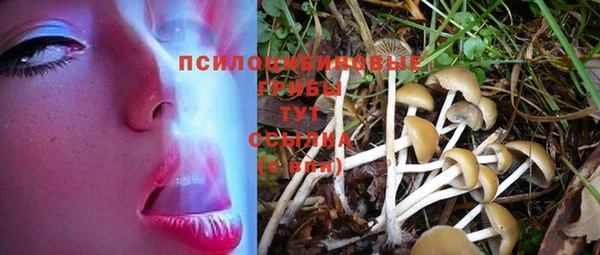 спайс Гусиноозёрск