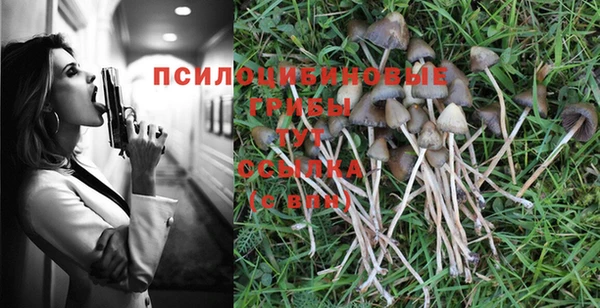 герыч Дмитриев