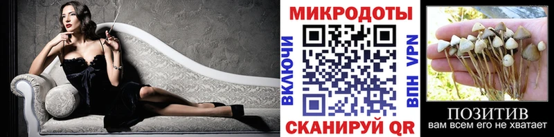 Купить где  Перевоз  Галлюциногенные грибы мухоморы 